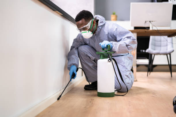 Emergency Pest Control Services in Concord, MI